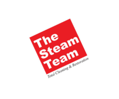 The Steam Team