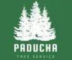 Tree Service Paducah