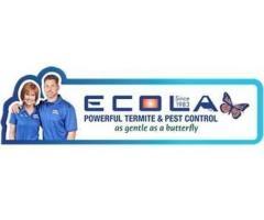 Ecola Termite - Ventura County