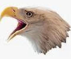 Eagles Eye Cleaning