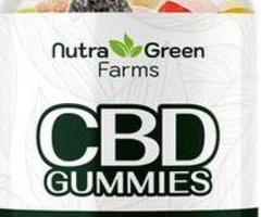 Calm in Every Chew – Nutra Green Farms CBD Gummies