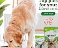 Food to Reduce Weight in Dogs Dubai Price