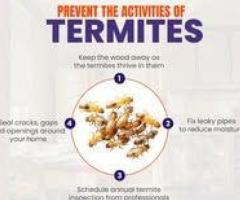 Best Flies and Spider Pest Control Services in Kurnool