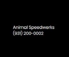 Animal Speedwerks
