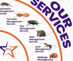 Snake Control or Catcher Experts in Kurnool || Star Pest Control