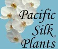 Artificial Orchids Arrangements for Dana Point