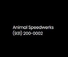 Animal Speedwerks