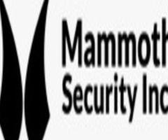 Mammoth Security Inc. Bantam