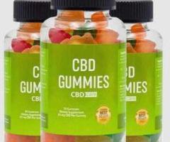 Elixium CBD Gummies – Your Daily Dose of Calm
