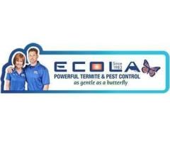 Ecola Termite - Ventura County