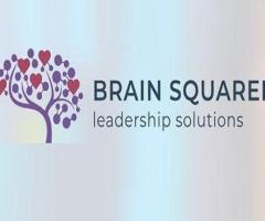 Brain Squared Solutions Inc.