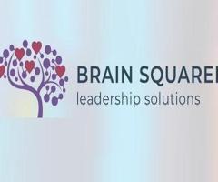 Brain Squared Solutions Inc.