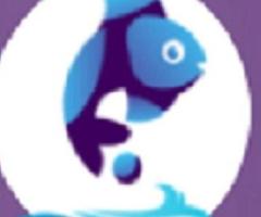 Social Media Marketing Company - Fish Eye Advertising