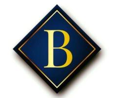Blue Nile Livery - Chauffeured Service