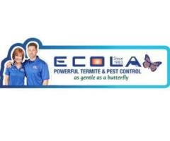 Ecola Termite - Orange County