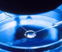 IVF (In Vitro Fertilization) Treatment in USA